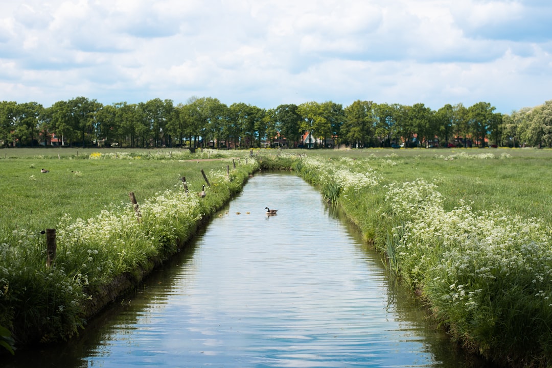 Genieten van eten uit de hele wereld bij Watertuin Zoetermeer