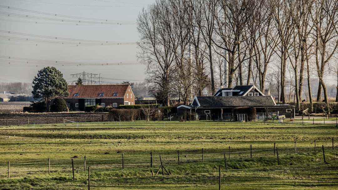 Ontsnappen uit Prison Island Zoetermeer: Samenwerken en uitdagingen overwinnen